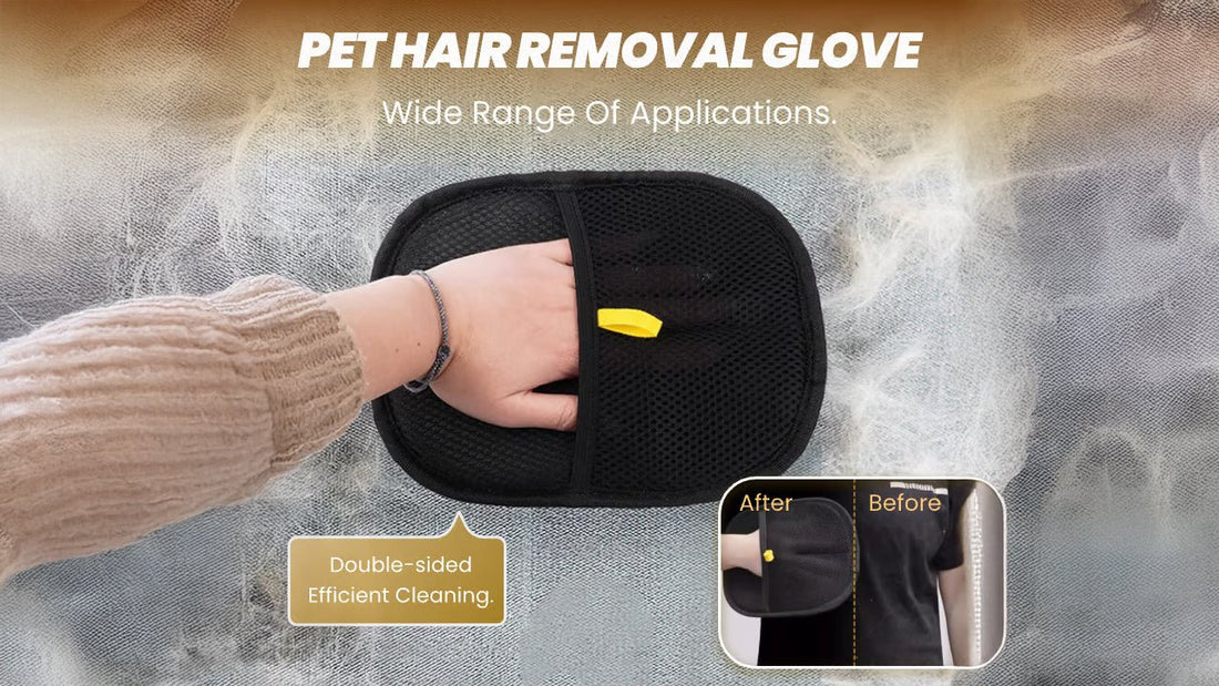 Home Grooming Guide - AVERSTOR