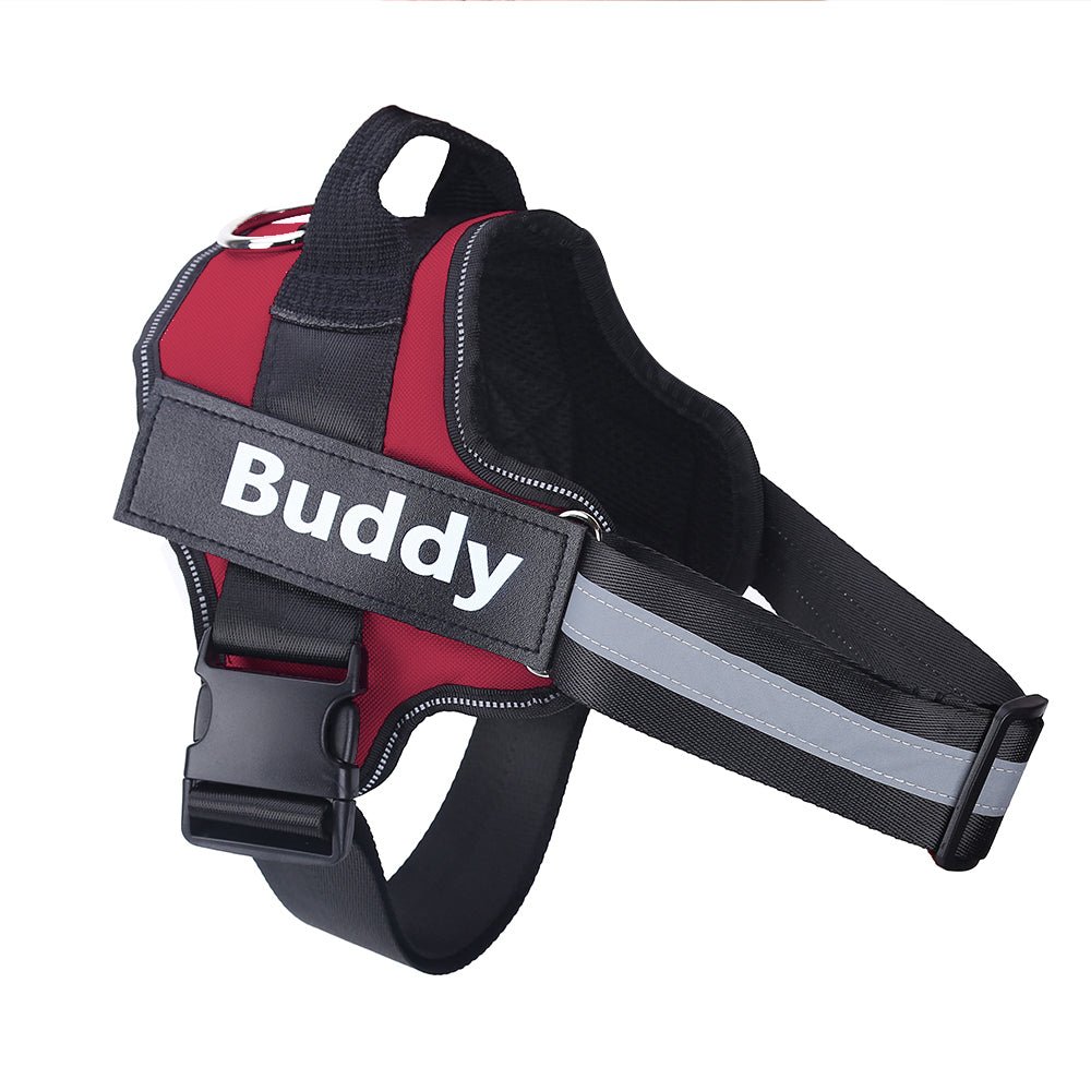 Personalized No - Pull Reflective Harness - AVERSTOR