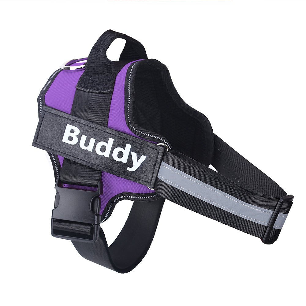 Personalized No - Pull Reflective Harness - AVERSTOR