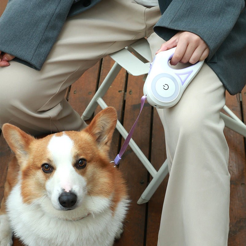 Retractable Leash & Collar - AVERSTOR